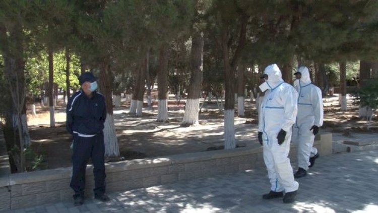 Sumqayıtda küçədə dolaşan koronavirus xəstəsinə cinayət işi açıldı - VİDEO